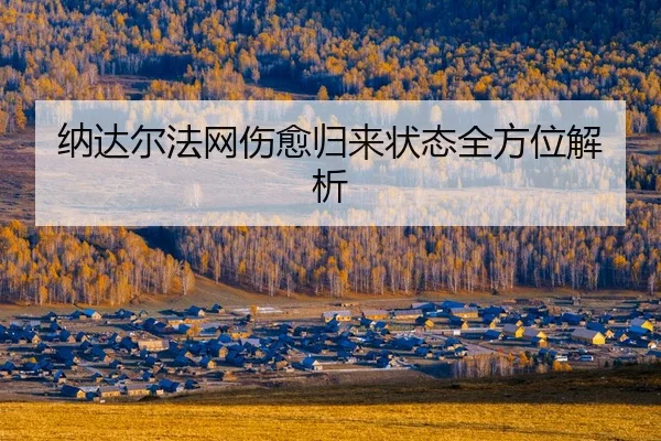 na-da-er-fa-wang-shang-yu-gui-lai-zhuang-tai-quan-fang-wei-jie-xi-2-987.jpg